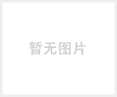 常年批发生产不锈钢网链 链条网带