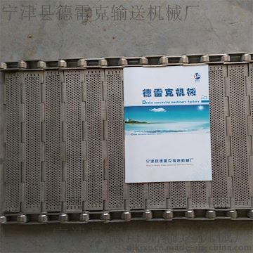 不锈钢链板
